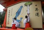 　熊野那智大社で来年の干支「辰」にかけ替えられた大絵馬＝１５日午前、和歌山県那智勝浦町