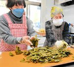 蒸した伊津師乙女茶の葉をもみ込む参加者＝１９日、豊岡市出石町福住の福住地区コミュニティセンター