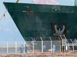 　衝突事故を起こしたリベリア船籍のコンテナ船を調べる調査官ら＝２６日午前、和歌山市