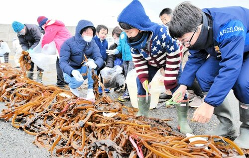 刈り取りイベントの様子