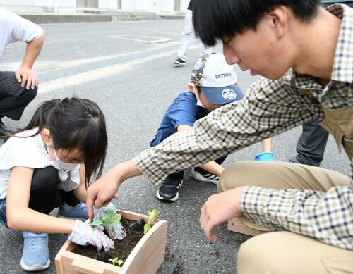  高校生（右）に教わりながら自作のプランターに野菜の苗を植える児童＝２１日、倉吉市大谷の倉吉農高 