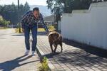 　飼い主のレオネル・コスタさんと歩く「世界最高齢の犬」のボビ＝２月、ポルトガル中部（ロイター＝共同）