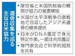 　遺骨収集を巡る主な日米協力