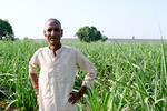 　サトウキビ農家のラメシュ・マリクさん。「物価高は苦しい」と話した＝５月、インド北部ウッタルプラデシュ州ムザファルナガル（共同）