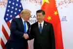 　握手する中国の習近平国家主席（右）とトランプ米大統領＝２０１９年６月、大阪（ロイター＝共同）