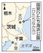 　茨城・国営ひたち海浜公園