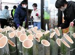 行事に提供する竹灯篭の発送作業に励む生徒ら＝１０日、鳥取市湖山町西１丁目の県東部森林組合