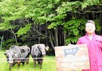 ゲレンデに放牧されている但馬牛と上田さん＝１５日、香美町村岡区大笹のハチ北スキー場