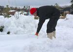 　石川県輪島市の仮設住宅で、雪かきをする住民＝８日午後