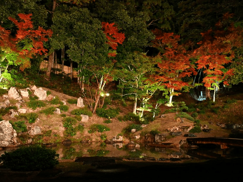 興禅寺で紅葉のライトアップ