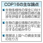 　ＣＯＰ１６の主な論点