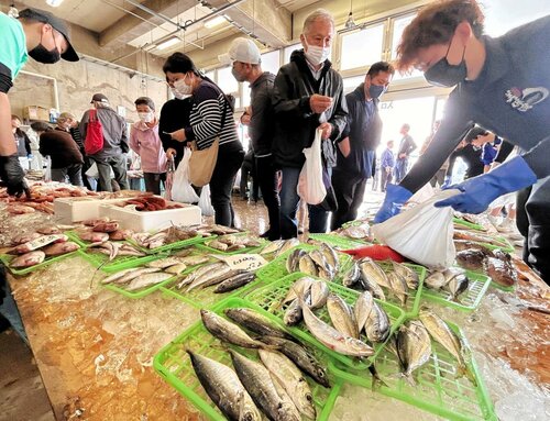 新鮮な魚介類を買い求める来場者＝１３日、境港市中野町