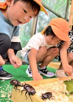 カブトムシと触れ合う子どもたち＝２７日、湯梨浜町の中国庭園燕趙園