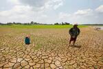 　高温で干上がったアマゾンの川＝２０２３年１０月、ブラジル・アマゾナス州（ＡＰ＝共同）