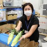 　集荷した野菜を注文に応じて袋詰めするスタッフ＝９月６日、神奈川県藤沢市