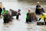 何度も竹製漁具「うぐい」を池に振り下ろす参加者＝１日、鳥取市気高町睦逢の大堤池