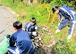 道路脇に捨てられた大量の空き缶を回収する生徒たち＝新温泉町湯（夢が丘中提供）