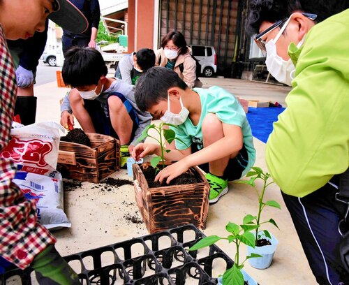 自分が作ったプランターにピーマン苗を植えるスクール生ら＝２０日、倉吉市大谷の倉吉農業高