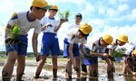 苗の植え方を教わりながら、自分の手で田植えをする児童ら