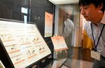 標本とともに赤トンボの生態を解説する展示コーナー＝鳥取市の鳥取県立博物館