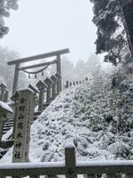 　雪化粧した金剛山の葛木神社＝１３日、奈良県御所市