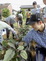 　ナスの収穫をする受講者たち＝６月６日、東京都世田谷区