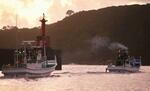 　イルカや小型鯨類の追い込み漁が解禁され、太地漁港から出港する漁船＝１日早朝、和歌山県太地町