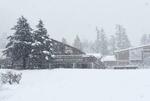 　積雪が確認された大山中腹の大山ナショナルパークセンター付近＝１３日午前、鳥取県大山町