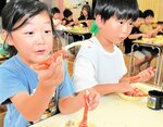 ベニズワイガニの身を取る園児＝１０日、境港市渡町のわたり保育園