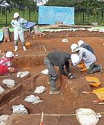 　吉野ケ里遺跡で始まった発掘調査で、石棺墓（左下）の周囲の土を掘る作業員＝２３日午前、佐賀県吉野ケ里町