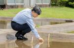 　皇居内の水田で田植えをされる天皇陛下＝１４日（宮内庁提供）