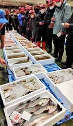 近海で取れた魚を競り落とす仲買人＝５日、鳥取県境港市昭和町