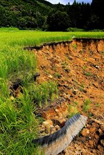 豪雨被害により広範囲で崩落した水田＝２２日、八頭町姫路