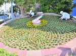 コスモスの花をイメージしたデザイン案を基に植え替え作業に当たる業者＝１８日、ＪＲ鳥取駅前
