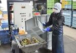 　干し芋の残りかす（残さ）を飼料に転用する茨城県ひたちなか市の「幸田商店」の従業員＝２０２３年１２月