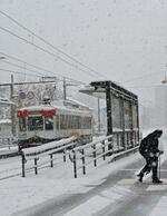 　雪が積もった富山市内＝２２日午前