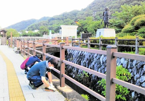 鳥取市武道館前のお堀端周辺の除草活動をする参加者（提供写真）