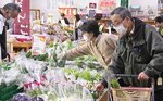 例年よりも品ぞろえ豊富な野菜を吟味する買い物客＝鳥取市賀露町西３丁目の地場産プラザわったいな