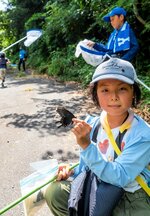 タモ網でチョウを捕まえる子どもら