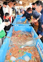 地元で水揚げされた新鮮な松葉ガニを買い求める来場者（左）＝１７日、香美町香住区の香住漁港西港