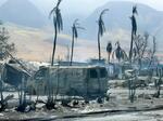 　燃えた木々や車が残る米ハワイ・マウイ島。ハワイ州知事公室が１０日公表した（同室提供・共同）