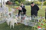 　豊山犬と触れ合うロシアのプーチン大統領（左手前）。右は北朝鮮の金正恩朝鮮労働党総書記＝１９日、平壌の錦ス山迎賓館（朝鮮中央通信＝共同）