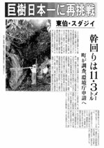 伯耆の大シイの幹回りの再調査を報じる日本海新聞（１９８９年９月７日）