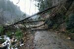 　鴻さん夫婦が暮らす集落への道をふさぐ倒木や土砂＝１月２７日、石川県輪島市南志見地区