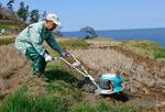 　棚田「白米千枚田」で行われた田起こし作業＝１日午前、石川県輪島市