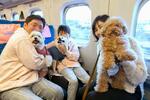 　ＪＲ東海が東海道新幹線で試験運行した愛犬家向けの専用車「わんわんエクスプレス」で、ペットと過ごす乗客＝９日午後（同社提供）