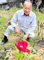 赤い大輪の花を咲かせた寒ボタンと橋本さん＝１日、新温泉町和田