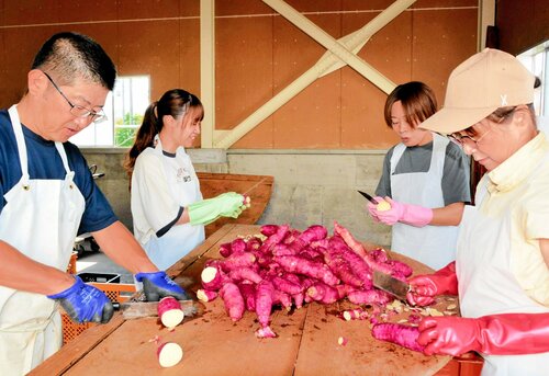 芋焼酎の仕込み作業をする酒蔵とＮＰＯのスタッフ