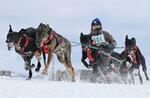 　「ジャパンカップ全国犬ぞり稚内大会」で疾走する犬ぞり＝２２日午後、北海道稚内市