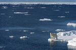 　ノルウェー・スバルバル諸島沖の北極海。海氷の減少はホッキョクグマなど野生の生き物を脅かす＝２０１５年７月（ゲッティ＝共同）
